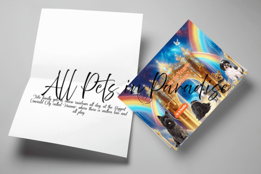Somewhere where over the rainbow - Image 2
