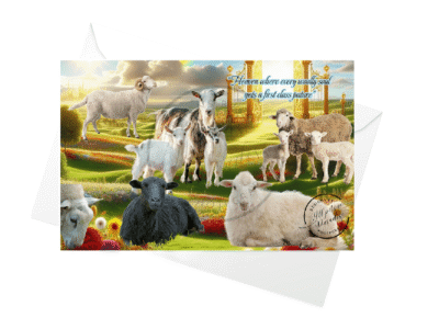 All Sheep and Goats in Paradise
