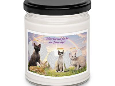 Devon Rex cats in heaven " Never has much fur , but now I have wings"  9.ozTribute Candle