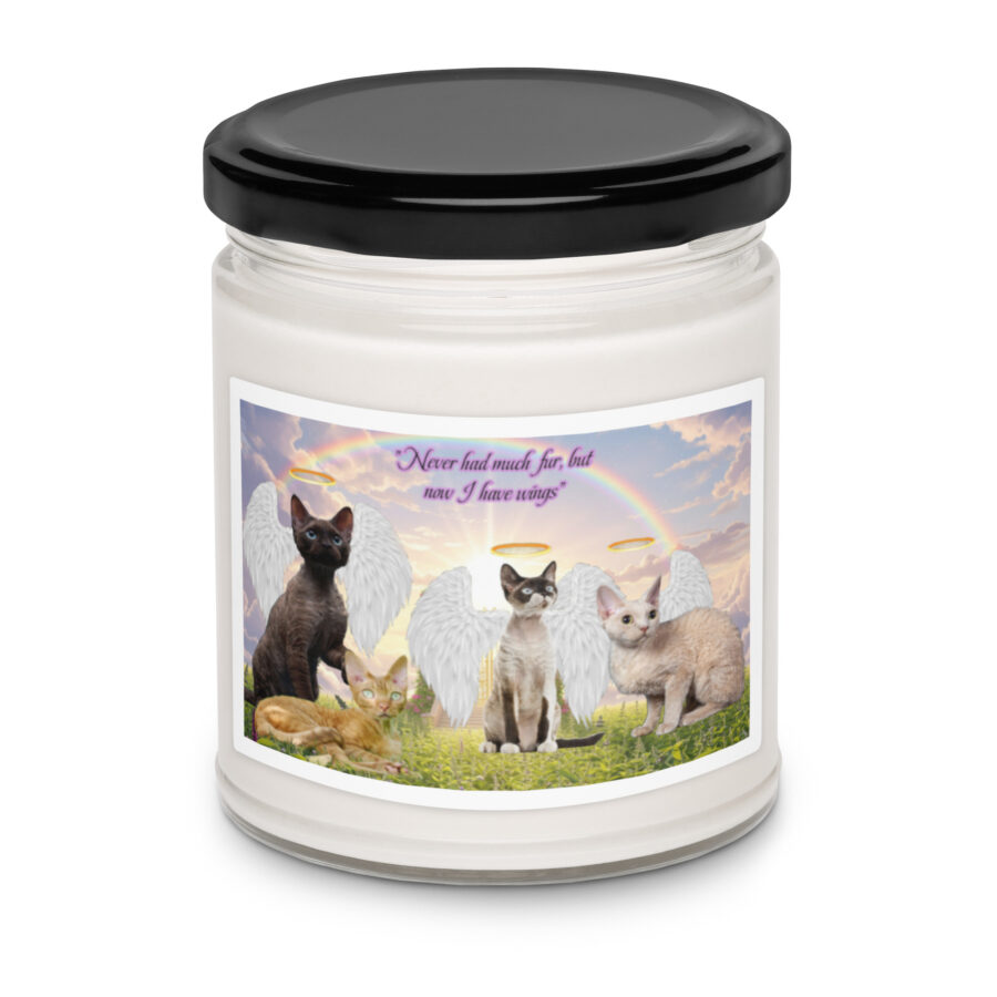 Devon Rex cats in heaven " Never has much fur , but now I have wings"  9.ozTribute Candle