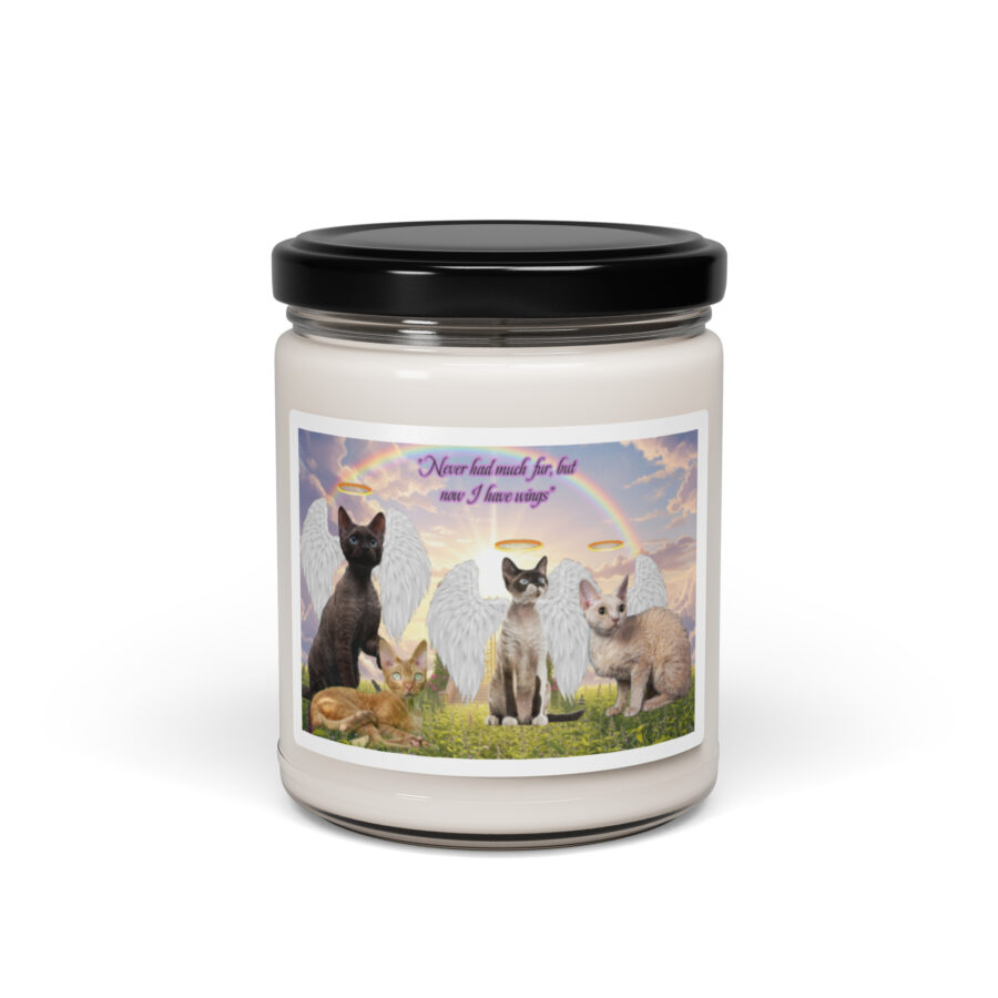 Devon Rex cats in heaven " Never has much fur , but now I have wings"  9.ozTribute Candle - Image 2