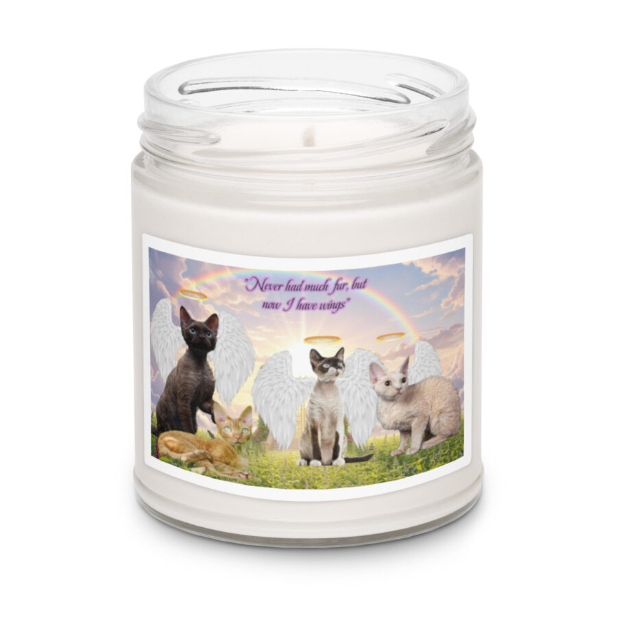 Devon Rex cats in heaven " Never has much fur , but now I have wings"  9.ozTribute Candle - Image 5