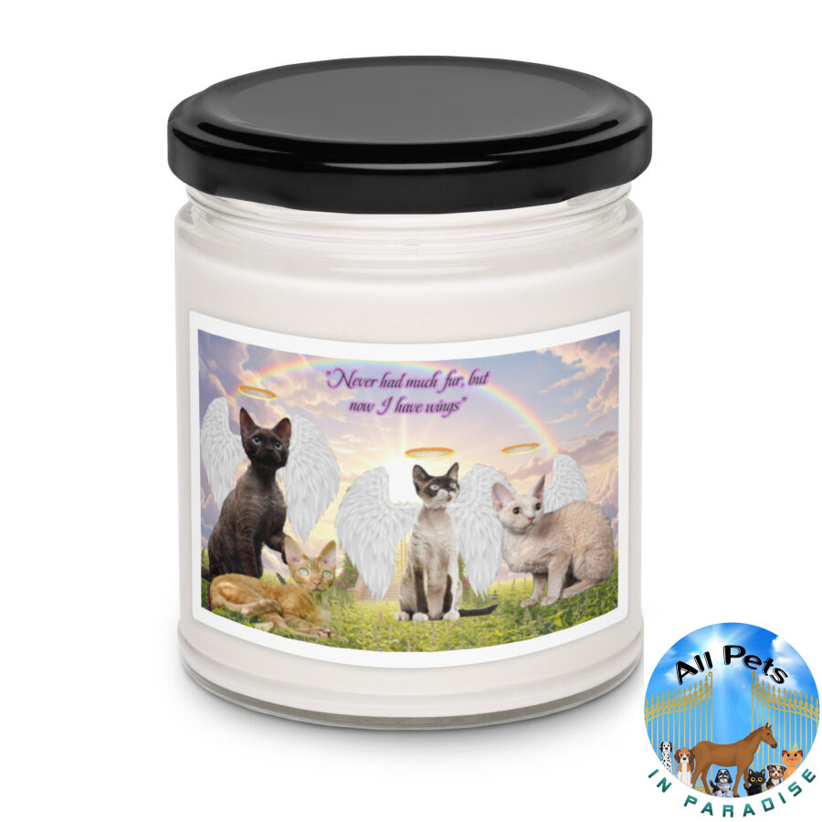 Devon Rex cats in heaven " Never has much fur , but now I have wings"  9.ozTribute Candle - Image 6