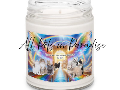 Rainbow Bridge for Cats " Used up our 9  lives now we're lighting up the sky"  9.oz  Scented soy candle