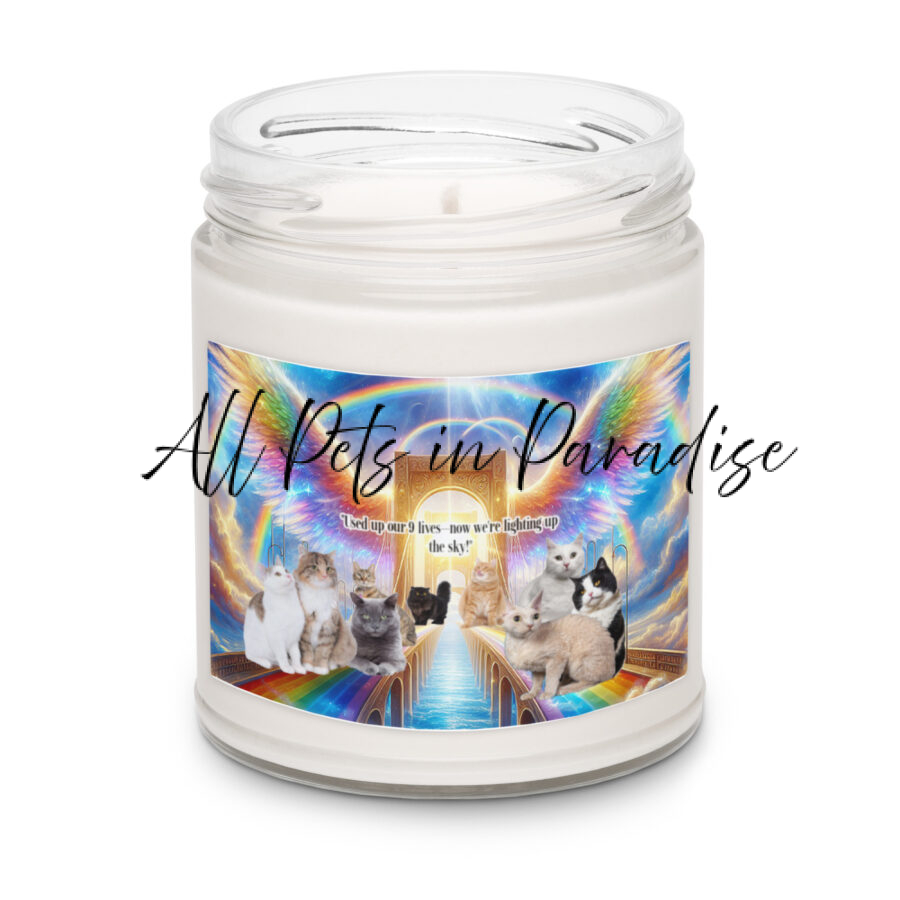 Rainbow Bridge for Cats " Used up our 9  lives now we're lighting up the sky"  9.oz  Scented soy candle