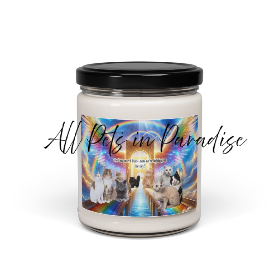 Rainbow Bridge for Cats " Used up our 9  lives now we're lighting up the sky"  9.oz  Scented soy candle - Image 2