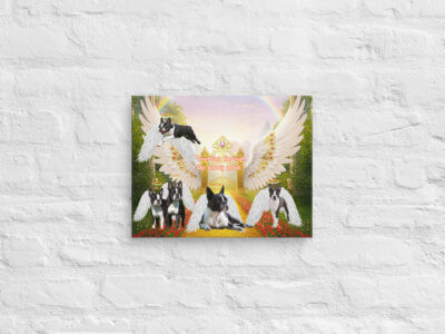 Boston Terriers in Heaven- " Sniffing Through the Pearly Gates" 11x14  Canvas