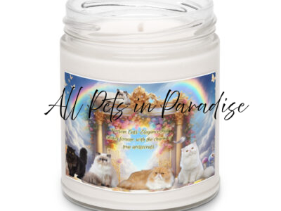 Persian Cats in Heaven- " Persian Cats- Elegance that shines forever , with the charm of a true aristocrats."  Scented soy candle
