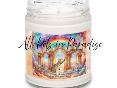 Bengals in Heaven " Bengals still chasing laser pointers but in clouds of rainbows" Scented soy candle