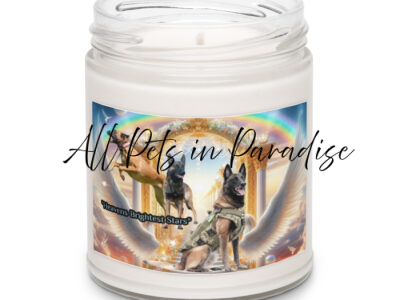 Belgian Malinois in Heaven " Heavens Brightest Stars" Scented soy candle