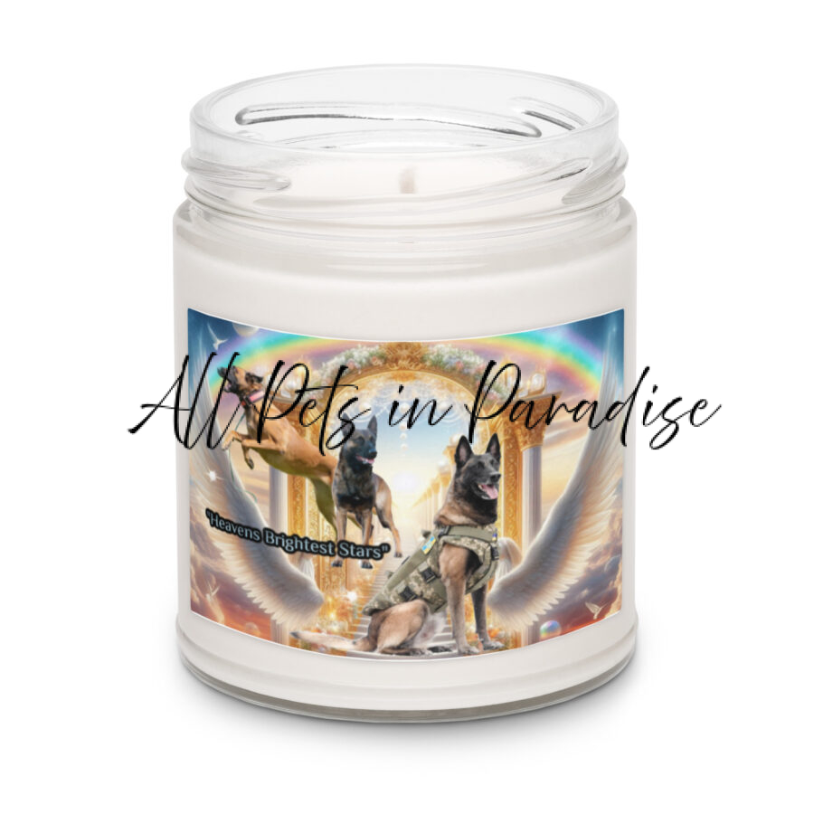 Belgian Malinois in Heaven " Heavens Brightest Stars" Scented soy candle
