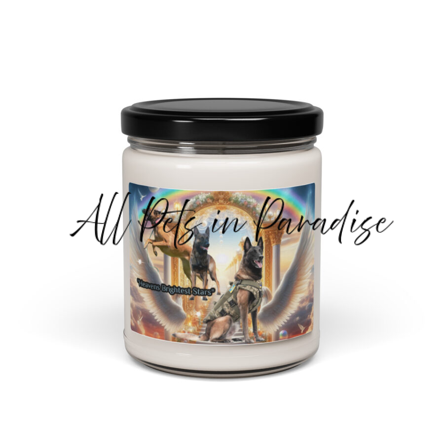 Belgian Malinois in Heaven " Heavens Brightest Stars" Scented soy candle - Image 2