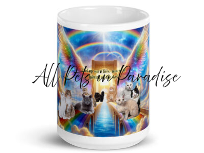 Rainbow Bridge  for Cats - "Used up our 9 lives - now we're lighting up the sky"  15.oz White glossy mug