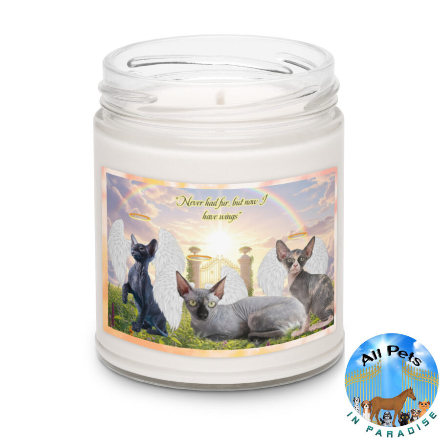 Sphynx Cats in Heaven " Never had fur, but now I have 9.oz wings" Scented soy candle - Image 3