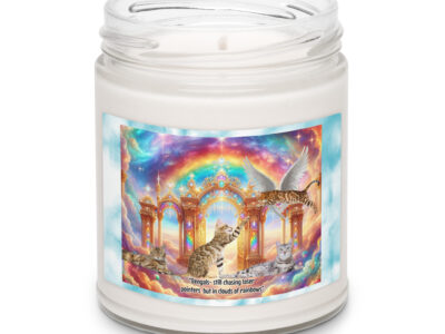 Bengals in Heaven " Bengals- still chasing laser pointers but in clouds of rainbows" 9.0z Scented soy candle