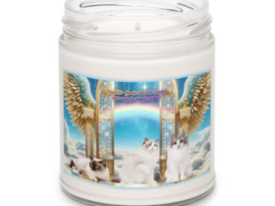 Ragdoll Cats in Heaven " Ragdolls -gentle souls who traded their rags for angelic riches"  9.ozScented soy candle