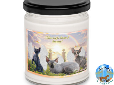 Sphynx Cats in Heaven " Never had fur, but now I have 9.oz wings" Scented soy candle