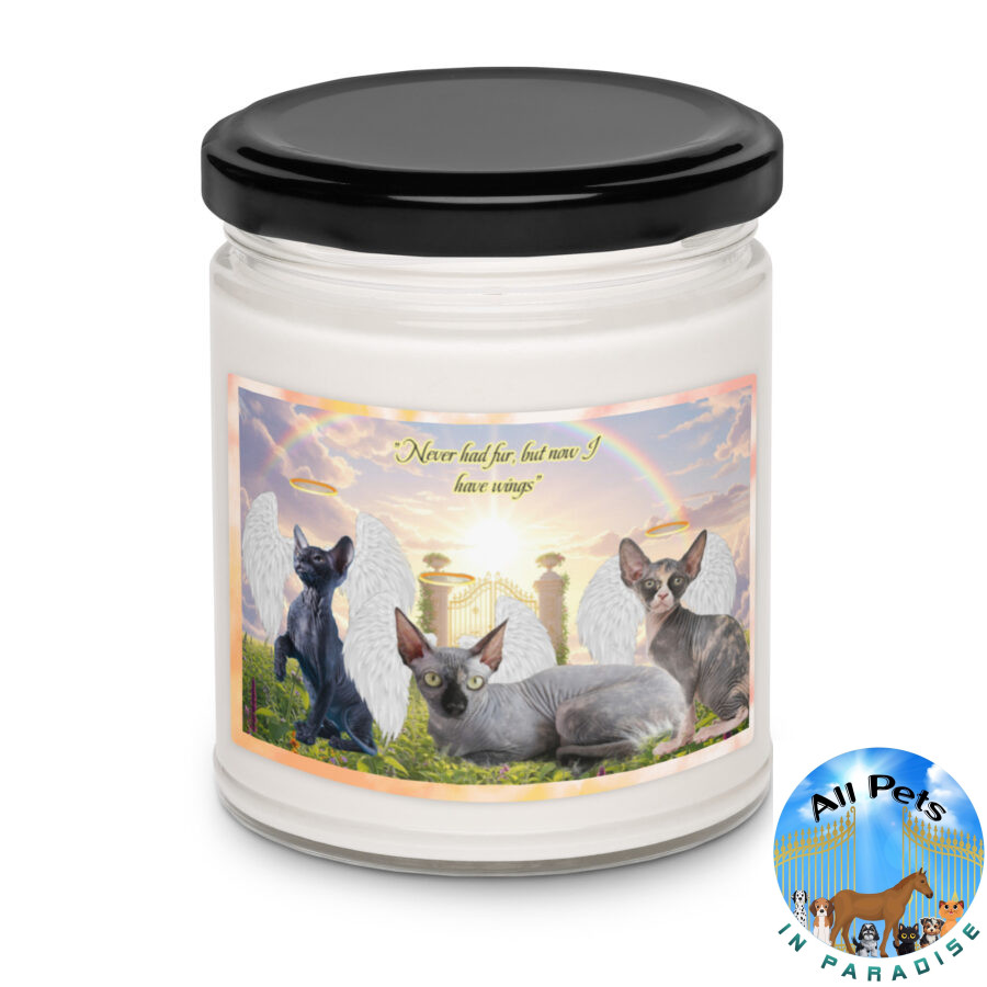 Sphynx Cats in Heaven " Never had fur, but now I have 9.oz wings" Scented soy candle