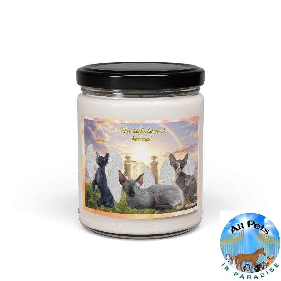 Sphynx Cats in Heaven " Never had fur, but now I have 9.oz wings" Scented soy candle - Image 2