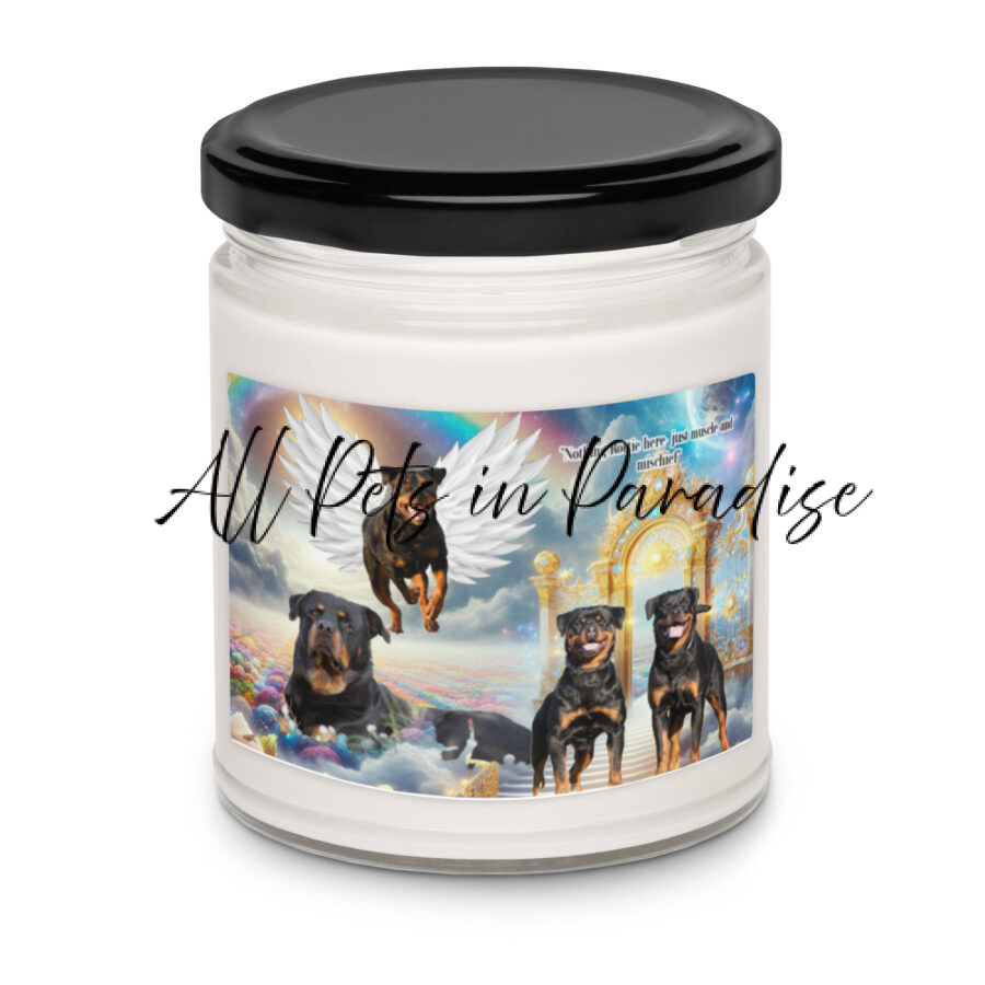 Rottweiler Dogs in Heaven " Nothing Rotttie here, just muscle and mischief" 9.oz Scented soy candle - Image 3