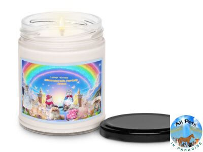 All Catnip Cats In Heaven ( Humor) " Cat Nip Heaven - Where every cat is Purr-fectly dressed" Scented soy candle