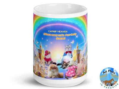 All Cat Nip Paradise9 Humor) White glossy mug