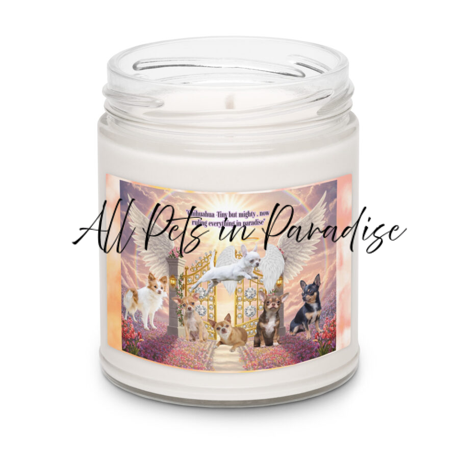 Chihuahua-tiny but mighty , now ruling everything in paradise". 9.oz Scented soy candle