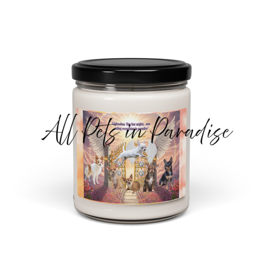 Chihuahua-tiny but mighty , now ruling everything in paradise". 9.oz Scented soy candle - Image 2